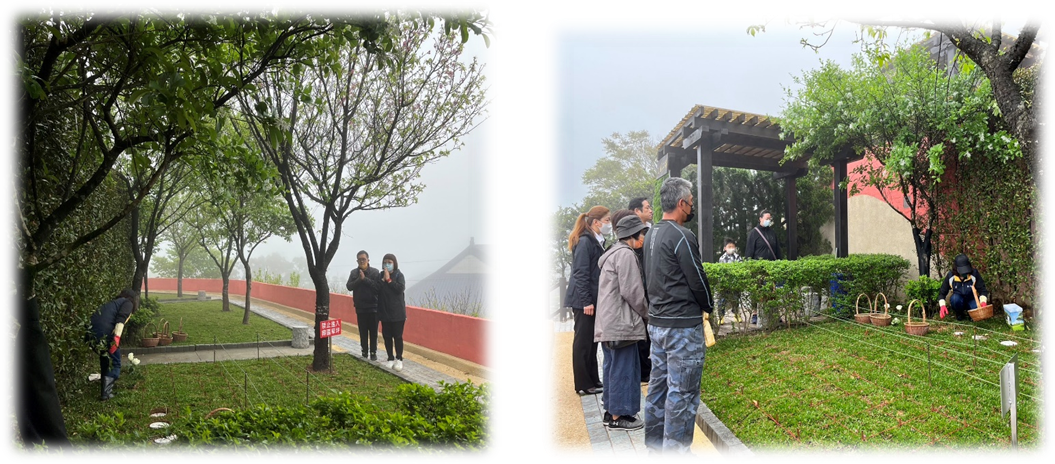 三芝櫻花生命園區內辦理植存儀式